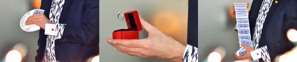 Professional magician performing